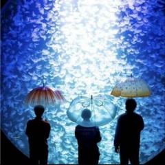 加茂水族館　ミズクラゲ　アカクラゲ　タコクラゲ　ビニール傘　未使用　フェリシモ 雨の日も楽しく。クラゲ水族館が発案したクラゲ傘がかわい過ぎる