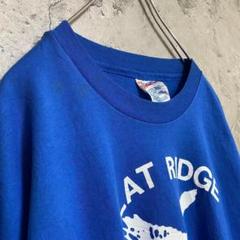 90's USA製 ヘインズ 三段プリント Tシャツ 半袖 ゆるだぼ 青色