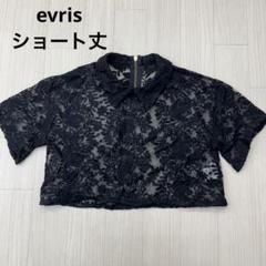 evris エヴリス ボタニカル刺繍 シアー ショート丈 カットソー ブラック