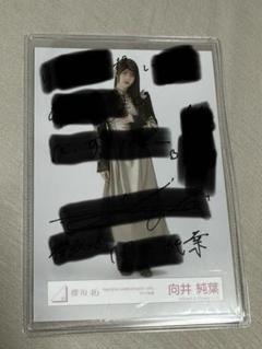 最大の割引 向井純葉 メルカリ - ヒキ 直筆生写真 アニラ アイドル
