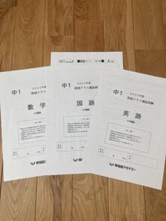 2T選抜試験対策模擬試験 特訓選抜対策テスト 2025年最新】早稲アカ 特訓選抜 中2 6月の人気アイテム - メルカリ