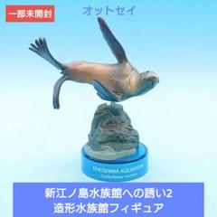 2025年最新】新江ノ島水族館立体生物図録の人気アイテム - メルカリ