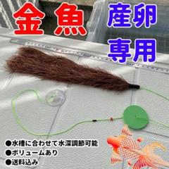 22年最新 金魚の産卵床の人気アイテム メルカリ