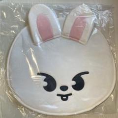 straykids リノ スキズ うちわ リービット カバー まとめ売り Stray Kids うちわカバー リービット リノ - メルカリ