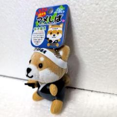 旅するマメしば　大阪 ✨NEW✨ 旅するマメしば ⁡ 🏯大阪城バージョン🐕 ⁡ どどーんと