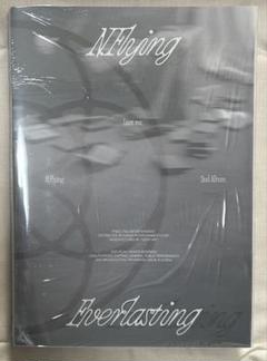 N.Flying Everlasting 未開封