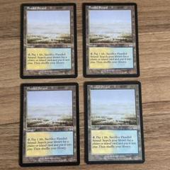 mtg 溢れかえる岸辺　英語　4枚セット　オンスロート mtg 溢れかえる岸辺 英語 4枚セット オンスロート - メルカリ