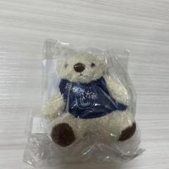 東洋大学　テディベア