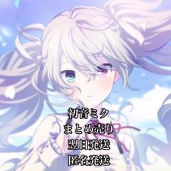初音ミク－MIKU LAND COLLECTION 2024 Ver. | XMarket | The