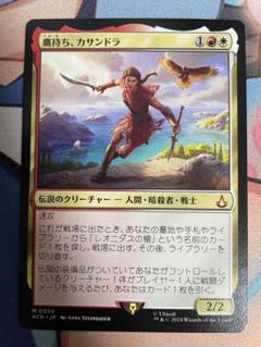 MTG 鷹持ち、カサンドラ　日本語