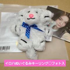 環いろは ぬいぐるみ タイトー 2025年最新】環いろは ぬいぐるみの人気アイテム - メルカリ