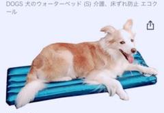 犬の床ずれ予防 床ずれ ベッド クッションの中古 未使用品を探そう メルカリ 犬の床ずれ予防 床ずれ ベッド クッションの中古 未使用品を探そう メルカリ
