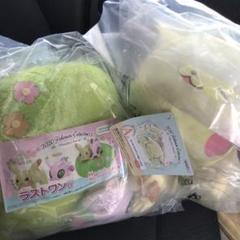 ポケモン 一番くじ A賞 ラストワン賞 ぬいぐるみ