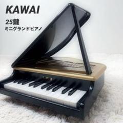 激レア！コンパクトグランドピアノ 黒 上級者も納得！タッチにこだわった究極の電子ピアノ（40万円