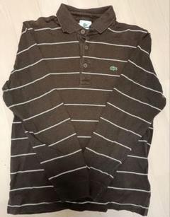 LACOSTE ブラウン ストライプ ポロシャツ S
