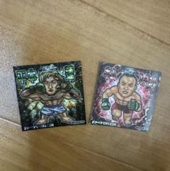 即日発送　RIZIN 平本蓮　キムスーチョル　シール2枚セット