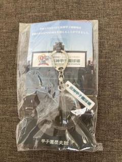 甲子園球場95周年記念甲子園の土が入ったキーホルダー - メルカリ