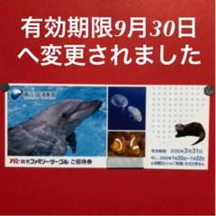 新江ノ島水族館 チケット 1枚