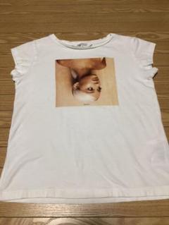 Ariana Grande 服の中古 未使用品を探そう メルカリ Ariana Grande 服の中古 未使用品を探そう メルカリ