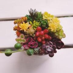 グリーンネックレス 植物の中古 未使用品を探そう メルカリ グリーンネックレス 植物の中古 未使用品を探そう メルカリ