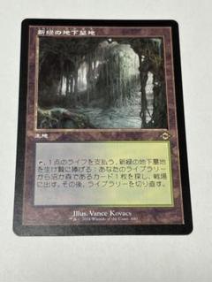 MTG 新緑の地下墓地　日本語　旧枠