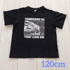 アメリカ自然史博物館HUMAN BIOLOGY & EVOLUTION Tシャツ ニューヨーク Tシャツ アメリカ自然史博物館 デッドストック