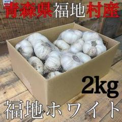 福地村産 土付き L 2kg 青森県産にんにく 半生 半乾燥 夏坂ふぁ
