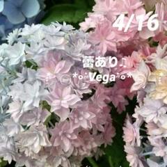 2025年最新】大栄花園の人気アイテム - メルカリ
