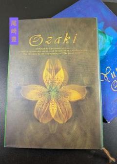 尾崎　豊　作品集　　大いなる誕生
