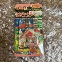 2025年最新】キティ八ツ橋の人気アイテム - メルカリ