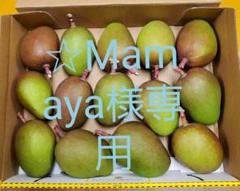 ☆Mamaya様専用