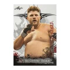 MMA CARD / ロイ・ネルソン / UFC / RIZINカード