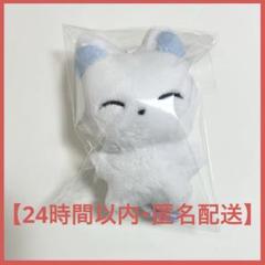 ENHYPEN ソヌドール20㎝エナプ