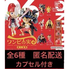 ワンピの実 第六海戦 全6種コンプリートセット(カプセル付き)