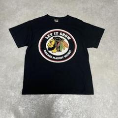 フルーツオブザルーム アメカジ Tシャツ NHL シカゴ Lサイズ