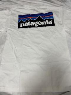 bootleg is better ノースフェイス パタゴニア コラボ tシャツのサムネイル