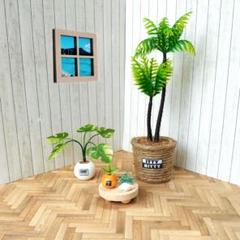 ミニチュア観葉植物セットL②のサムネイル