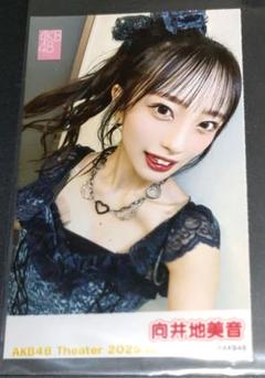 【即購入ok】向井地美音　AKB48 4月ランダム生写真 　 5種コンプ AKB48 2024年9月度 net shop限定個別生写真5枚セットvol.1