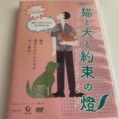 猫と犬と約束の燈 2018 夏 ♪チーム公演 DVD