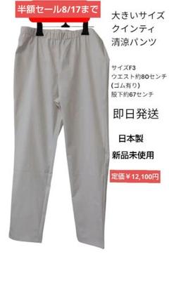 大きいサイズ クインティ 清涼パンツ F3 日本製