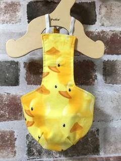 コールダックさんのオムツ＊callduck diapers ペット服