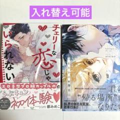 BLコミックス　まとめ売り　2冊　②