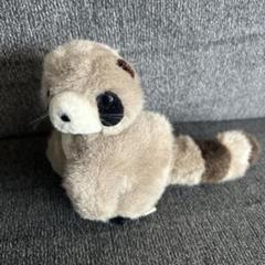 オオイケ　アライグマ　オルゴール　ぬいぐるみ