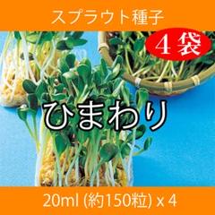 スプラウト種子 S-05 ひまわり 20ml 約150粒 x 4袋