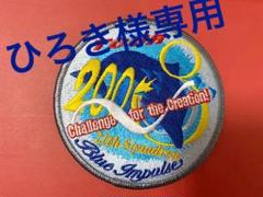 航空自衛隊 ブルーインパルス ワッペン