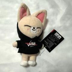 【即購入◎】straykids アイエン グッズ StrayKids スキズ アイエン 5-STAR ソウルコン グッズセット