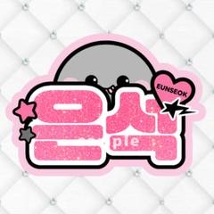 RIIZE ウンソク うちわ アクキー スローガン ファンライトバック