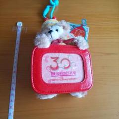 希少 美品 ディズニー 30周年 ダッフィー シェリーメイ パスケース レア 希少 美品 ディズニー 30周年 ダッフィー シェリーメイ パス
