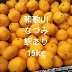 和歌山　なつみ　訳あり　15kg 明日発送 和歌山 なつみ 訳あり 15kg 7/2発送 - メルカリ