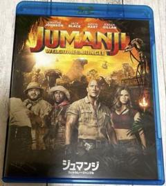 ジュマンジ ウェルカム・トゥ・ジャングル('18米)